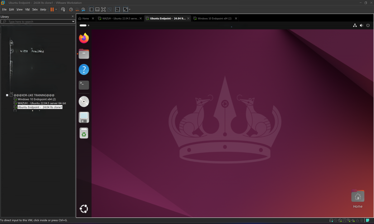 ubuntu 24.04 endpoint